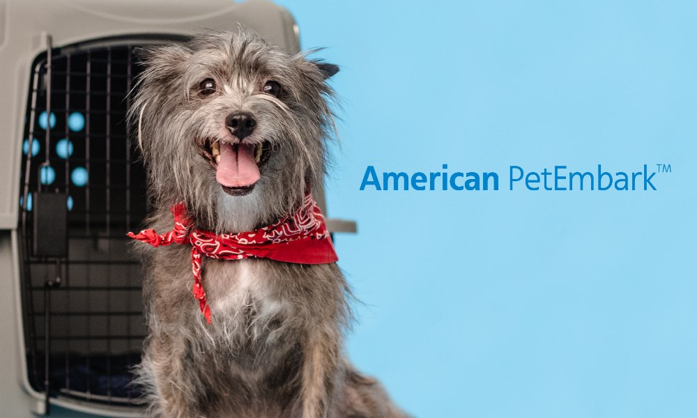 American Airlines Cargo offers new resources for animal shippers