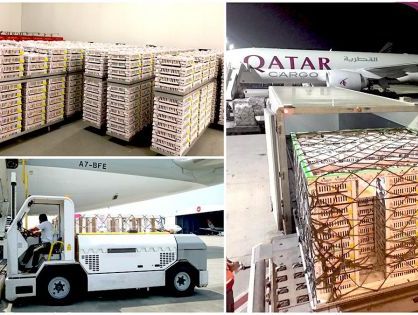 Qatar Cargo delivers historic shipment of day-old breeding stock chicks