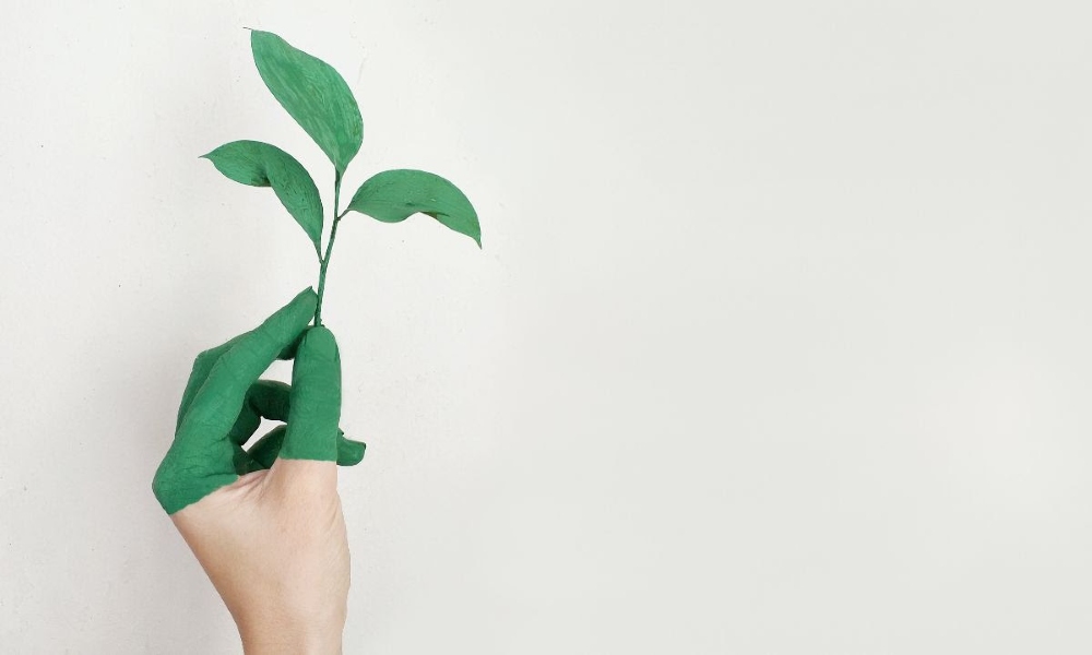 SkyCell announces sustainability report, commit for greener pharma supply chain SkyCell announces sustainability report, commit for greener pharma supply chain