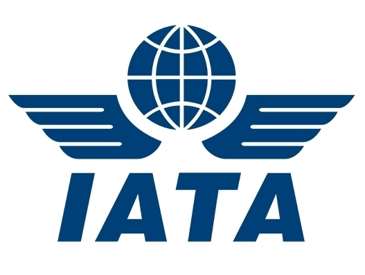 Air freight capacity increased by 5.2%, load factor fell to 49.3% in 2018: IATA Air freight capacity increased by 5.2%, load factor fell to 49.3% in 2018: IATA
