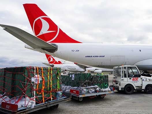 Turkish Cargo transports Humboldt Penguin to China from Riga Zoo