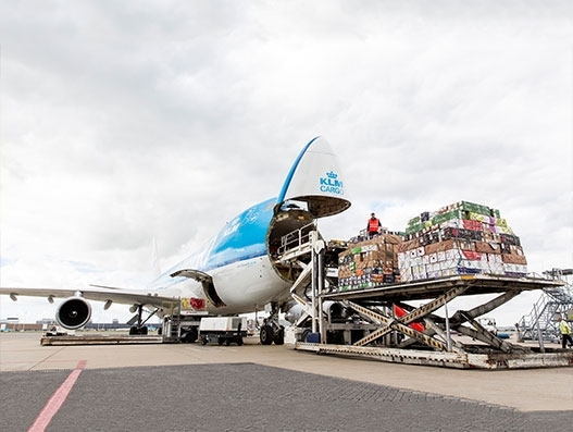 AFKLMP Cargo transports about 3,300 tonnes of flowers to Europe