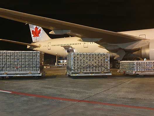 Air Canada Cargo kept pollination uninterrupted in Canada