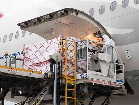 FROM MAGAZINE: Cargo handling in the times of a pandemic FROM MAGAZINE: Cargo handling in the times of a pandemic