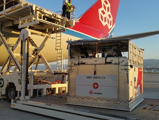 Cargolux in horse transportation to Ashgabat for Asian Games Cargolux in horse transportation to Ashgabat for Asian Games