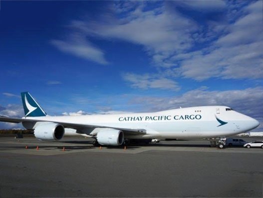 Cathay Pacific elevates Vishal Pillai to Regional Cargo Services Manager for SAMEA Cathay Pacific elevates Vishal Pillai to Regional Cargo Services Manager for SAMEA