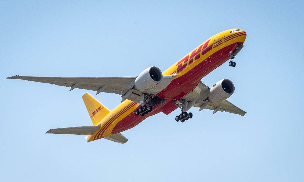 DHL successfully flies two Himalayan brown bears to Jordan