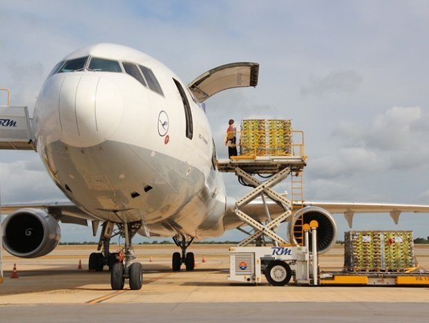 A case of digital airfreight corridor A case of digital airfreight corridor