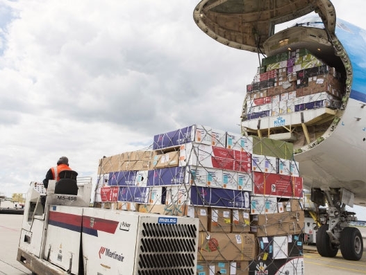 FROM MAGAZINE: Digitisation instills splendid colours into flower cargo FROM MAGAZINE: Digitisation instills splendid colours into flower cargo