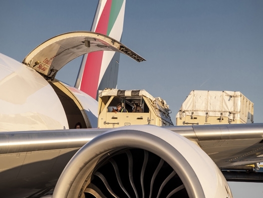 Emirates’ cargo division flies 67 horses for World Equestrian Games