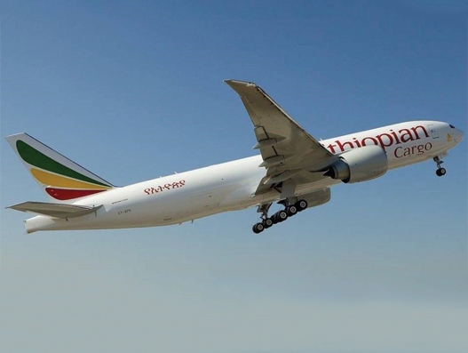 Ahmedabad becomes Ethiopian Airlines fifth cargo gateway to India Ahmedabad becomes Ethiopian Airlines fifth cargo gateway to India