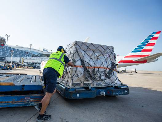 Covid-19: Expediting cargo delivery amid crisis Covid-19: Expediting cargo delivery amid crisis