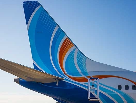 flydubai Cargo launches service to transport live animals