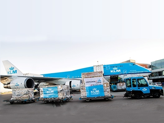 FROM MAGAZINE : The criticality of flying precious cargo FROM MAGAZINE : The criticality of flying precious cargo