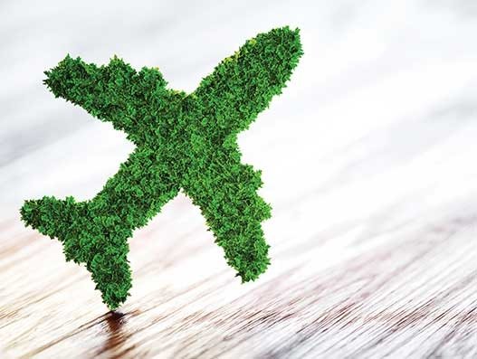 FROM MAGAZINE - Going green and getting lean: Air cargo takes the sustainable route FROM MAGAZINE - Going green and getting lean: Air cargo takes the sustainable route