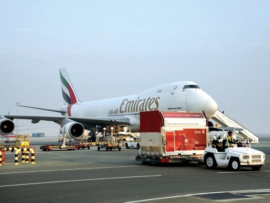 Horses reach Dubai onboard Emirates SkyCargo