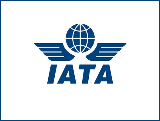 IATA asks Russia to implement global standards for sustainable aviation growth