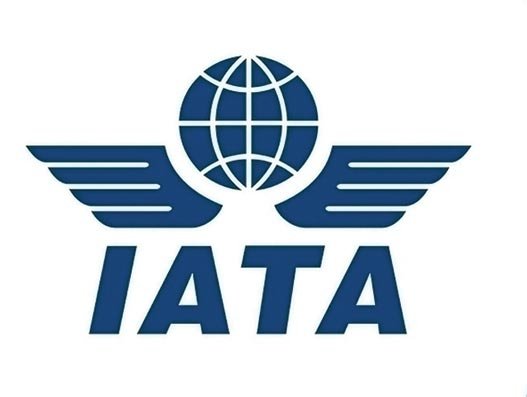 IATA posts 1.1% decline in November air freight demand, says pressure is easing