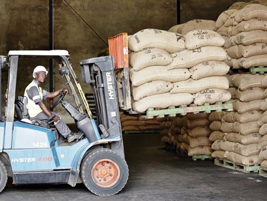 Bolloré Transport & Logistics Ivory Coast gets busy with cocoa exports