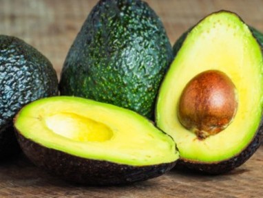 Kuehne+Nagel, Verdeex team up to deliver fresh avocados to Dubai