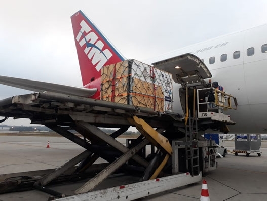 LATAM Cargo Brazil flies 2 bears to São Paulo sanctuary