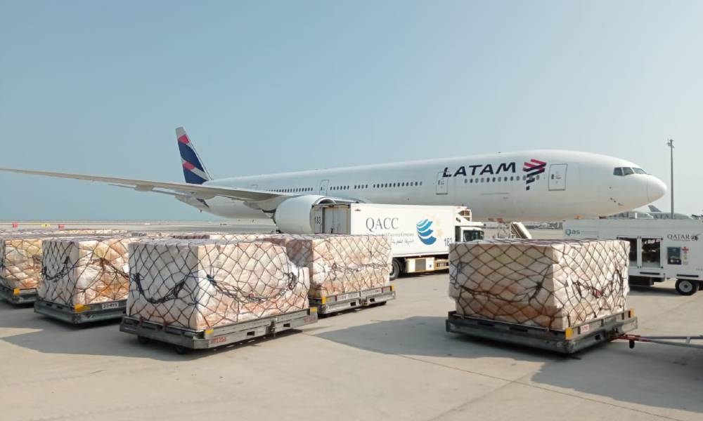 LATAM Cargo operates first flight to Qatar from Brazil LATAM Cargo operates first flight to Qatar from Brazil