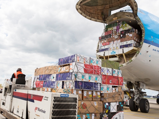 Flowers drive business for Air France-KLM Martinair Cargo Flowers drive business for Air France-KLM Martinair Cargo