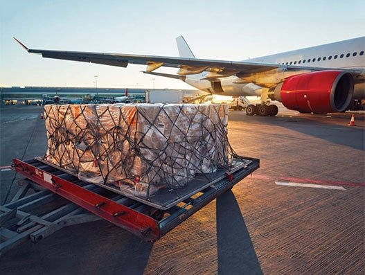 Paycargo launches new free communication service to help cargo community during Covid-19 crisis Paycargo launches new free communication service to help cargo community during Covid-19 crisis