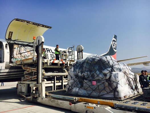 SF Airlines launches the ‘Guizhou-Hangzhou’ all-cargo route