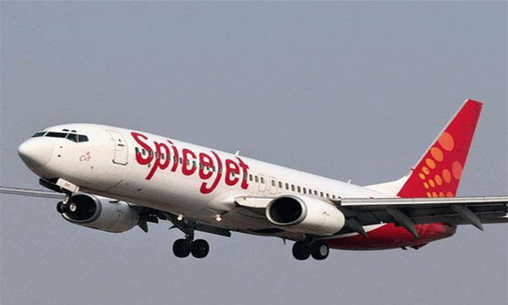 SpiceJet cargo revenues catapult 518% in FY21 SpiceJet cargo revenues catapult 518% in FY21