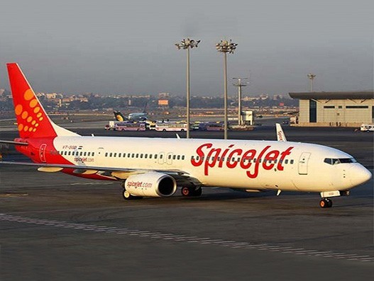 SpiceJet transports 175 tonnes of lychee and fish seeds in May SpiceJet transports 175 tonnes of lychee and fish seeds in May