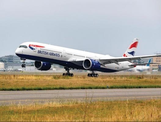 Temporary suspension of dog travel on British Airways flights