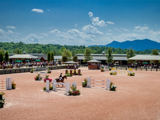 Horses for World Equestrian Games most likely to land at Greenville-Spartanburg Airport Horses for World Equestrian Games most likely to land at Greenville-Spartanburg Airport