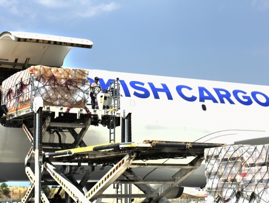 Turkish Cargo sees double-digit growth in freight traffic in first half 2017 Turkish Cargo sees double-digit growth in freight traffic in first half 2017