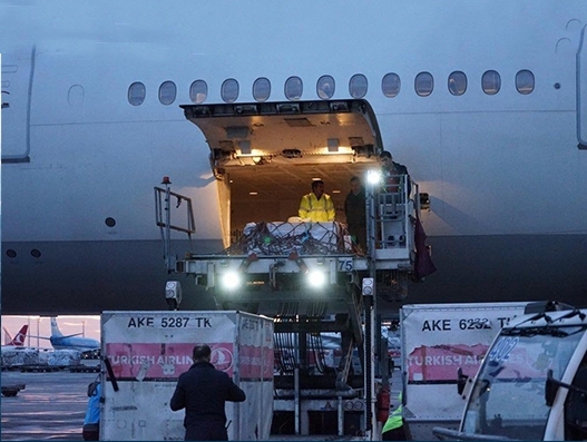 Turkish Airlines helps bring back missing pieces of the Gypsy Girl Mosaic Turkish Airlines helps bring back missing pieces of the Gypsy Girl Mosaic