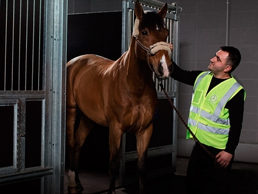 Turkish Cargo joins Animal Transportation Association Turkish Cargo joins Animal Transportation Association