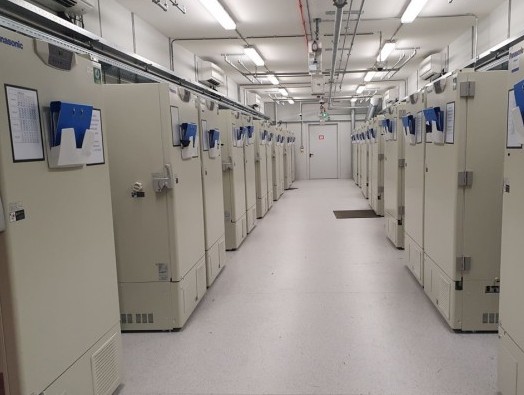 UPS preps up for Covid-19 vaccine storage and transportation UPS preps up for Covid-19 vaccine storage and transportation
