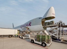 When Covid-19 struck the entire global supply chain, it was air cargo that stepped in fulfil the demand created by panic buying and lockdowns.
