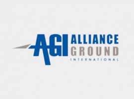 The API service enables the enhancement, further customisation, and acceleration of value by interweaving AGI in-house and CHAMP systems.