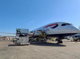 British Airways adds Boeing 787-10 to its fleet to maximise space on flights across its network, which is a strong strategic move for IAG Cargo.
