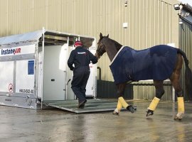 InstoneAir has been working closely with Luck Greayer (LG) Bloodstock Shipping, combining their bloodstock transportation expertise to support the world’s most valuable horse race, The Saudi Cup, which takes place in Riyadh this month and offers prize money of $20 million