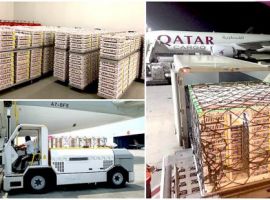 Qatar Airways Cargo utilised its flight traveling from Doha, Qatar to Hong Kong to make a stop in Bangladesh and delivered the 168,760 day-old breeding stock chicks.
