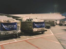 The Rhenus Group aims to deliver up to 200 million essential medical supplies to support relief efforts in several countries against the pandemic.