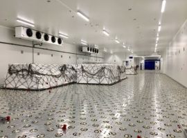 Worldwide Flight Services’ (WFS’) investment in 12 dedicated pharma facilities at airports in Europe, the United States and Africa generated significant increases in time- and temperature-sensitive volumes in the first five months of 2020