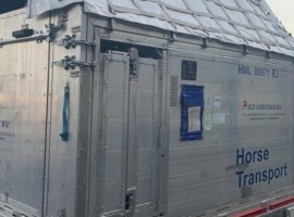 Two Andalusian stud horses and one Orlov Trotter horse, weighing over 1,500 kg in total, were comfortably positioned in a special horse container which meets all IATA LAR container requirements and guarantees the well-being of the animals during the whole flight.