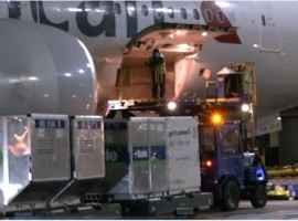 In close collaboration with pharmaceutical and cargo partners, the airline received the shipment by truck at Chicago O’Hare International Airport (ORD) and loaded the shipment onto a Boeing 777-200 aircraft flying to Miami International Airport (MIA).