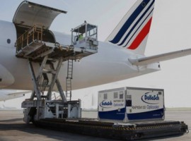They moved 170 RAP (reefer active containers) of insulin from Florence to Chicago with a final delivery in Indianapolis.