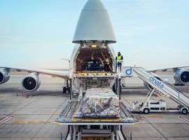 The platform Appointment and Dock Management (ADM) enables freight forwarders to book an appointment with the cargo terminal to deliver and pick up consignments.